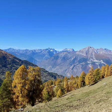 Near Centre Of The Village