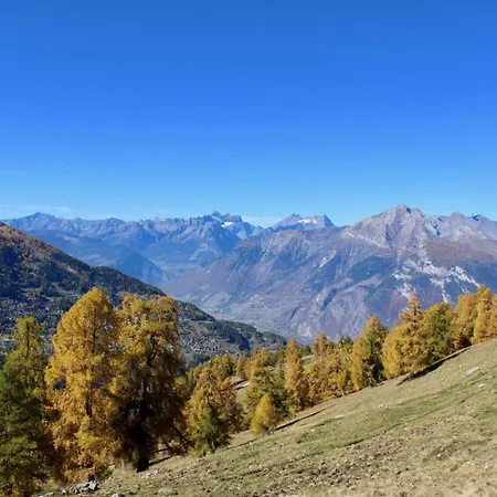 Near Centre Of The Village Nendaz