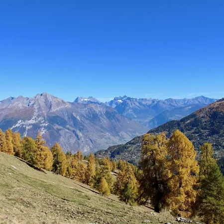 Near Centre Of The Village * Nendaz