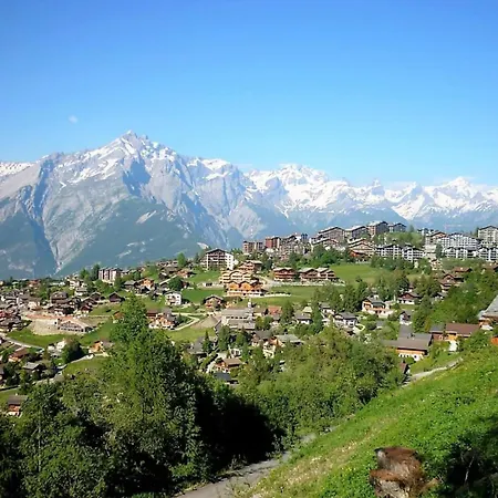 Apartment Near Centre Of The Village