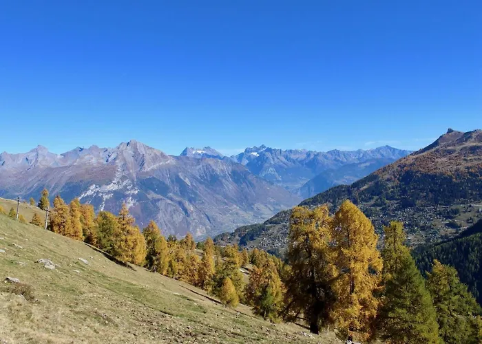 Near Centre Of The Village * Nendaz